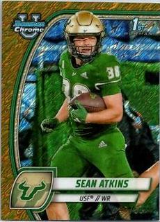 Sean Atkins