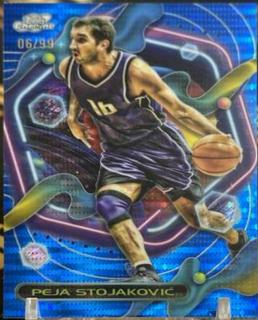 Peja Stojakovic