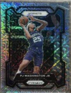 PJ Washington Jr.