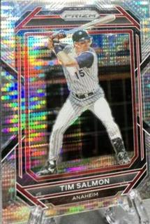 Tim Salmon