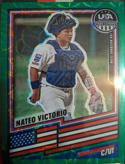 Nateo Victorio