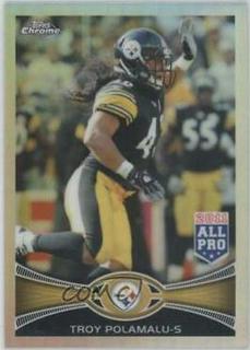 Troy Polamalu