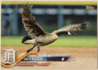 Rally Goose