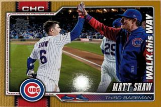 Matt Shaw