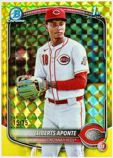 Liberts Aponte