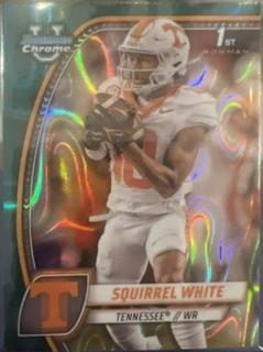 Squirrel White