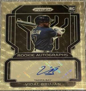 Vidal Brujan