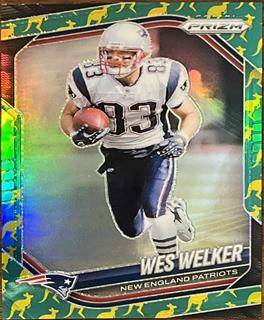 Wes Welker