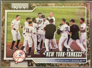 Team Card