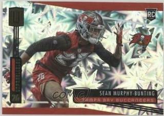 Sean Murphy Bunting