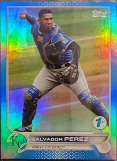 Salvador Perez