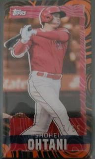 Shohei Ohtani