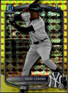 Mani Cedeno