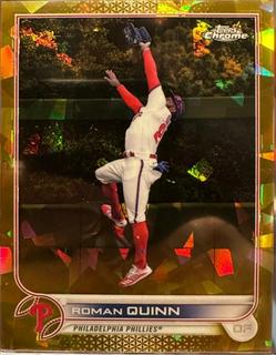 Roman Quinn