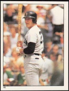 Carlton Fisk