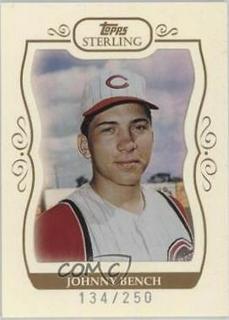 Johnny Bench