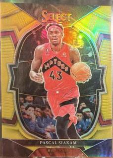 Pascal Siakam