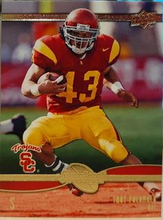 Troy Polamalu