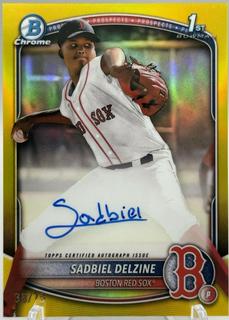 Sadbiel Delzine