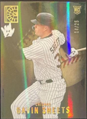 Gavin Sheets [Holo Gold] #25
