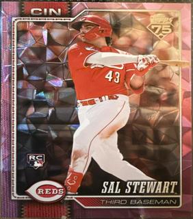 Sal Stewart