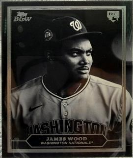 James Wood