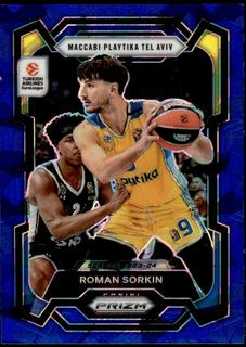 Roman Sorkin