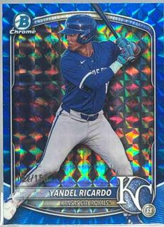 Yandel Ricardo