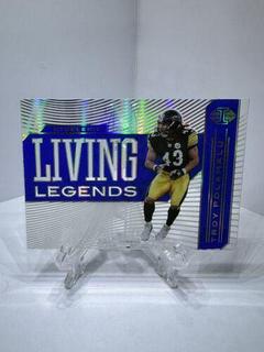 Troy Polamalu