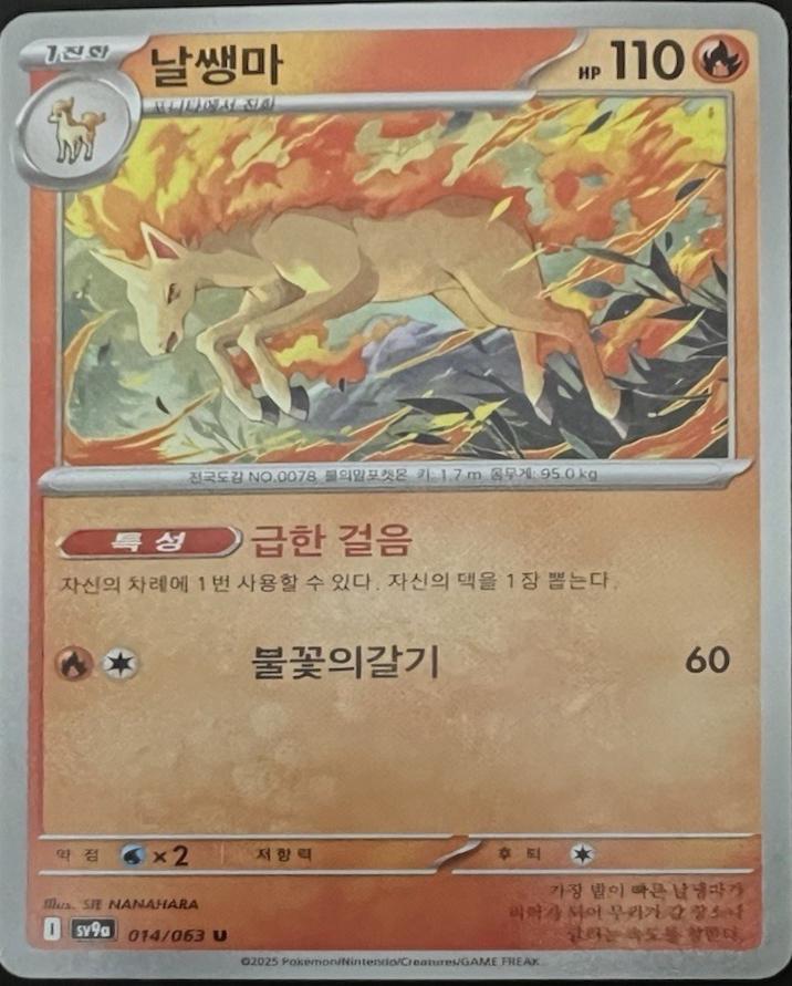 Rapidash