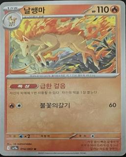 Rapidash