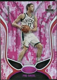 Pau Gasol