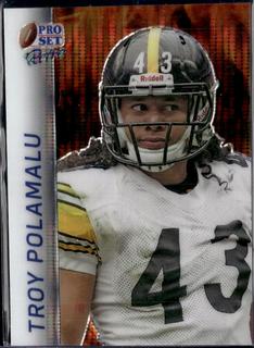 Troy Polamalu