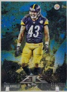 Troy Polamalu
