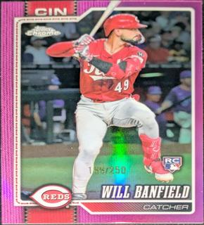 Will Banfield