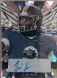 Jelani Woods