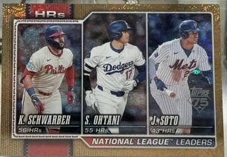 National League Leaders HRs