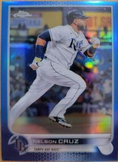Nelson Cruz