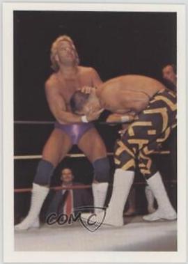 Stan Lane vs. Sean Royal #31 Wrestling Cards 1988 Wonderama NWA