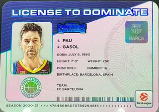 Pau Gasol