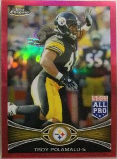 Troy Polamalu