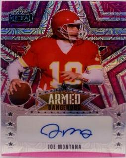Joe Montana