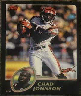 Chad Johnson