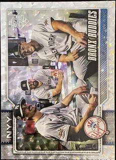 Bronx Buddies