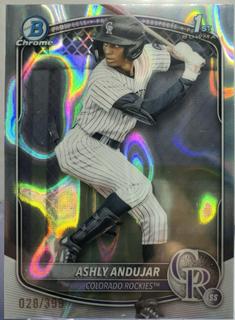 Ashly Andujar