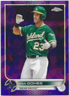 Yan Gomes