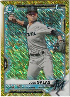 Jose Salas