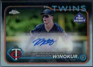 Brandon Winokur