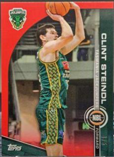 Clint Steindl
