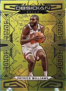Patrick Williams